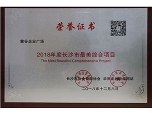 麓谷企業(yè)廣場2018年度最美綜合項(xiàng)目