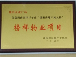 湖南省2017年瀟湘房地產(chǎn)風(fēng)云榜榜樣物業(yè)項(xiàng)目