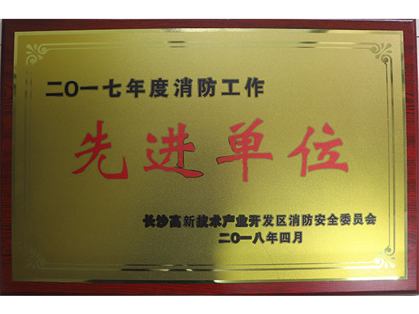 2017年度消防工作先進單位