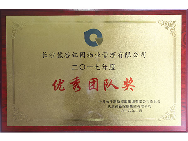 2017年度集團優(yōu)秀團隊