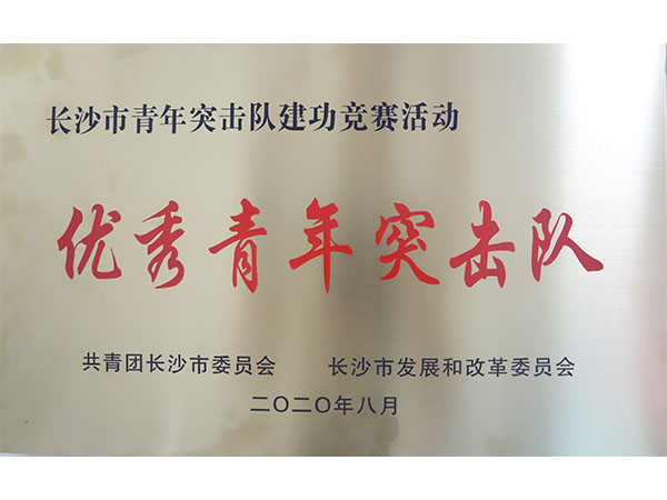 優(yōu)秀青年突擊隊