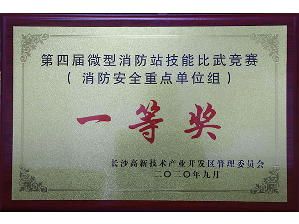 微型消防站技能比賽一等獎(jiǎng)