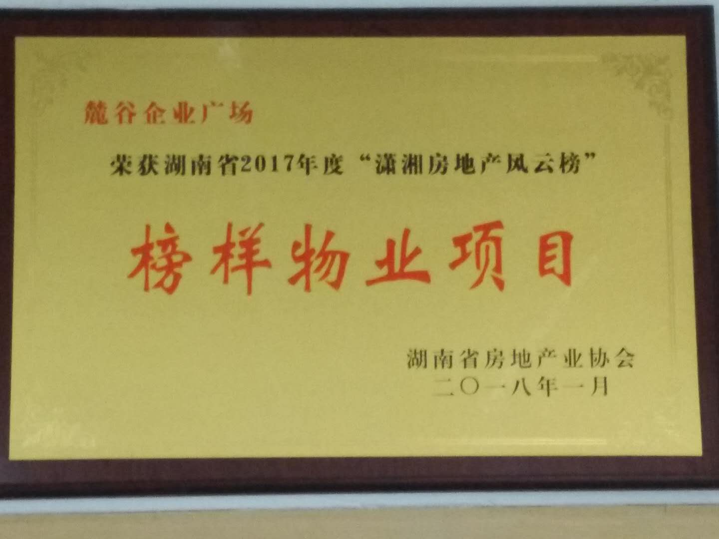 湖南省2017年瀟湘房地產(chǎn)風云榜榜樣物業(yè)項目